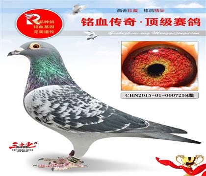 �ٸ����22����ʵս��Դ�