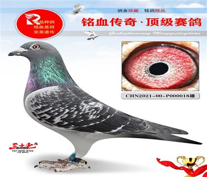 ���費��ֱ������Ǿ�