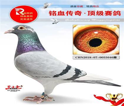 �����������62����Ӣ��˹��ĸ