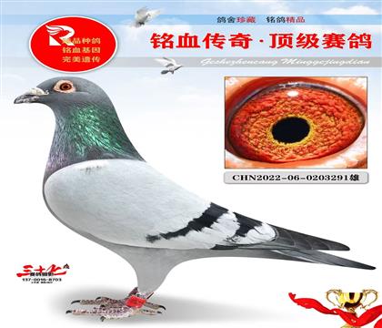 ����������Ԫ������