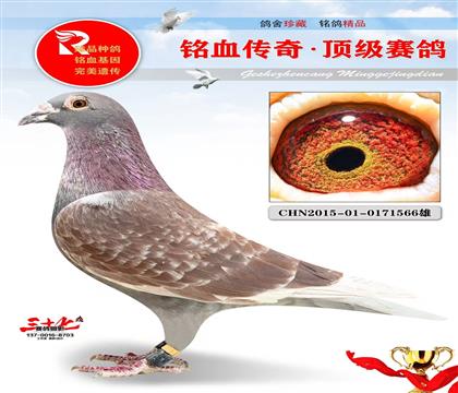 �ر�ʵս�����������