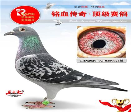 �����ѧ�塢˽���ָ�