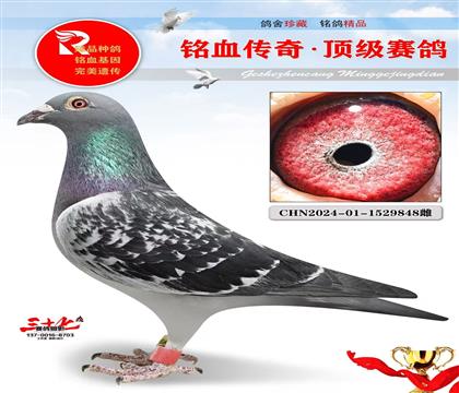 �׷ṫ�����145��