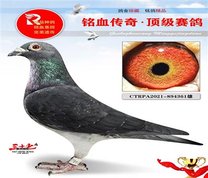 ��Ǽ��塢���������ظ�λ