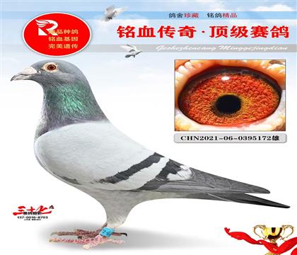 ���ɸꡢ�ǳ��Ƽ�