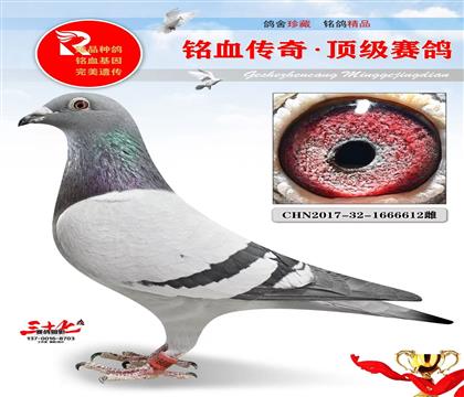 �����������ٷɸ�ֱ��Ů