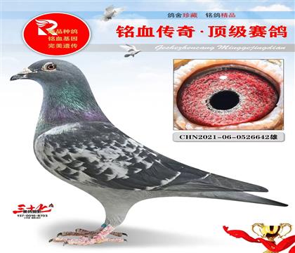 ʵս��Դ���ֱ�ӡ�