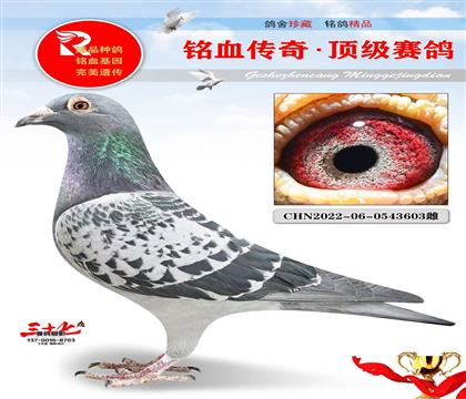 ʵս���ֱŮ�������ر�9��