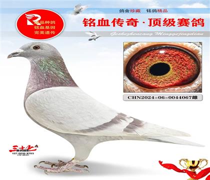 ����Ƽ����ش����˵�����˹