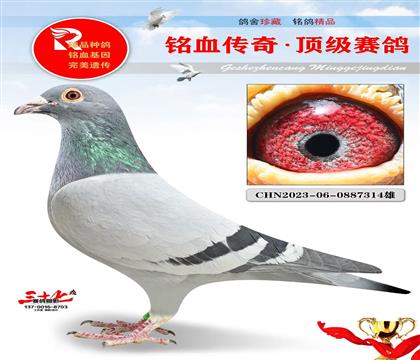 �Ǳȡ������硯ֱ��