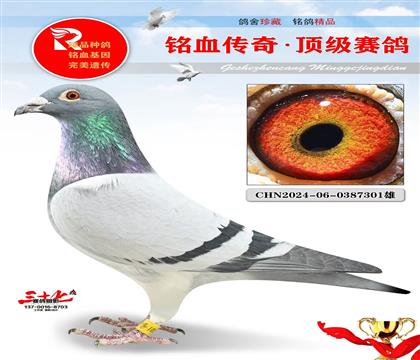 ���Դ������־��ܽ�ͷ