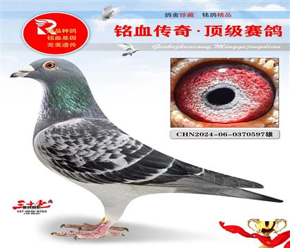 ʵս�ƽ��ֱ��