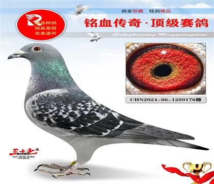 ���ˡ���ɭ˹�����չھ�����