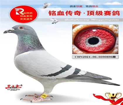 ������ҵ��ħ�����塢������