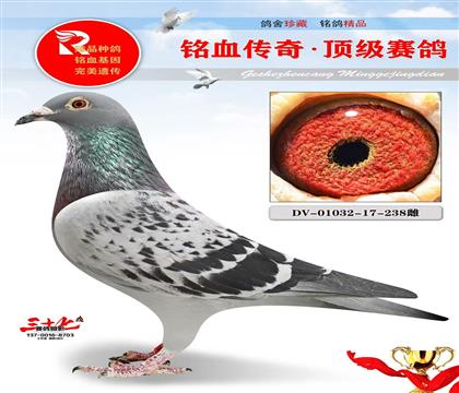 �ٶ���Դơ�������ֱ��Ů