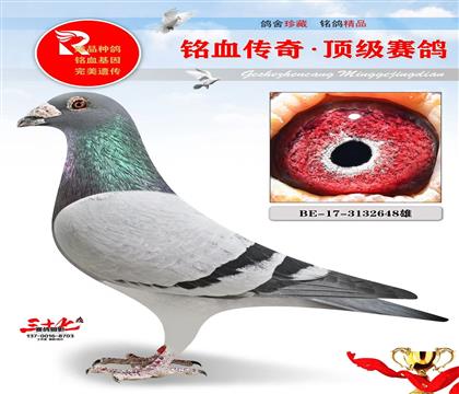 �Ǳ�ԭ�ᡢС����ֱ��