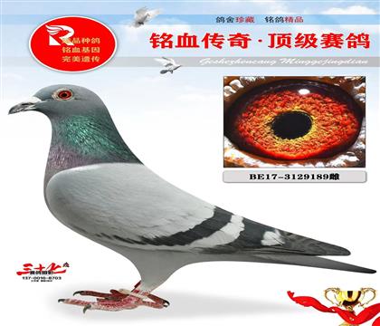 �ɸ��ĸ���ɸ�ֱ��Ů