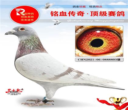 ���ݴ�筡�����ˬ����