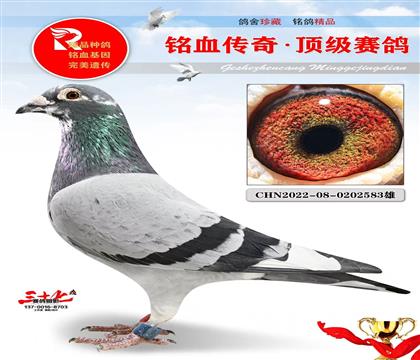 ��Ұ�������95��