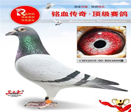 ����ԭ���������ص�