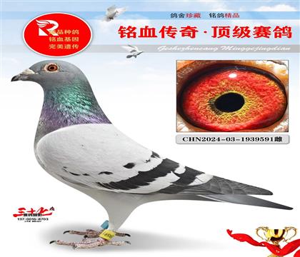 Ԫ�������349��