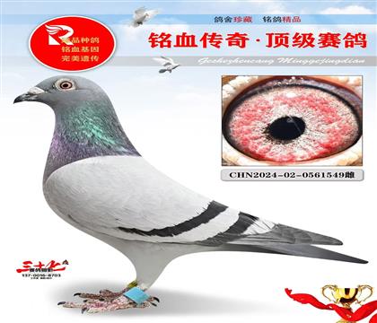 Ԫ�������354��