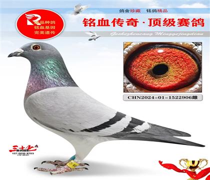 Ԫ�������358��