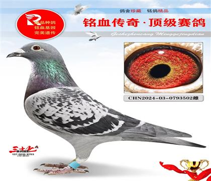 Ԫ�������329��