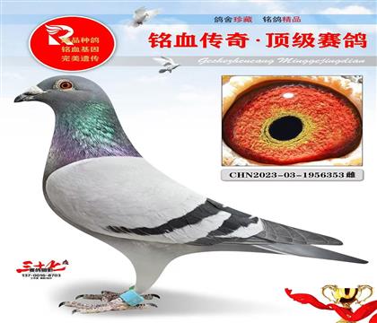 Ԫ����111��