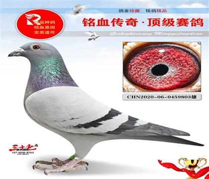 �ٶ���Դ���ֱ��