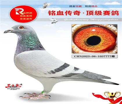 ��õĿ�����7777�������Ƽ�