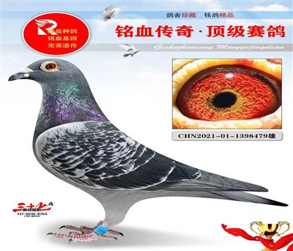 ���¡���ӥ��ֱ��