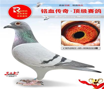 ���������ͬ��ĸ���ص�