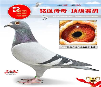 ���ո���10�������ǲ��˻�����ȫƽ��