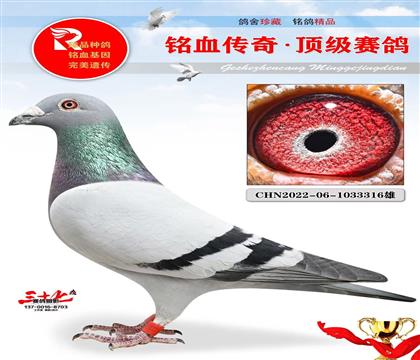 Ҽ�ſ����ˡ������õ�һֻ