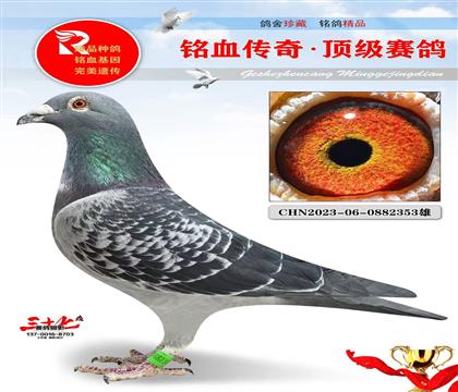 �ٶ����ֱ��