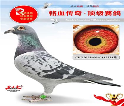 �ٶ����ֱ��