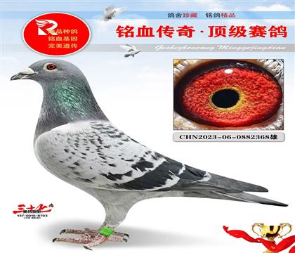 �ٶȻƽ��ֱ�ӡ���õĿ�����