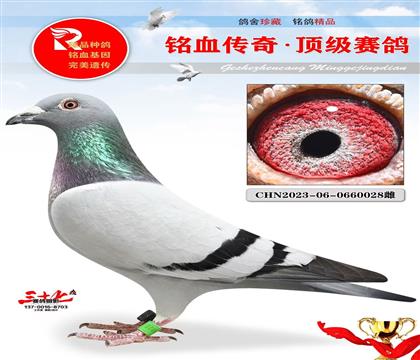 Ҽ�ſ����ˡ����չھ�ƽ��