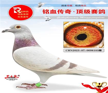 �ú��006���塢�ǳ���