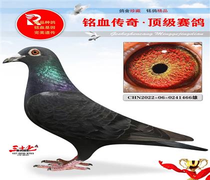 �˵����������ƽ��ֱ��