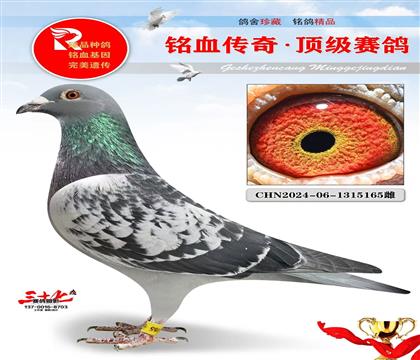 �ص㡢�ٶ����ֱŮ