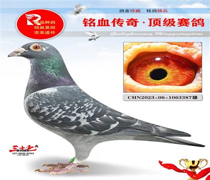 ��������ĸ��Ѫ