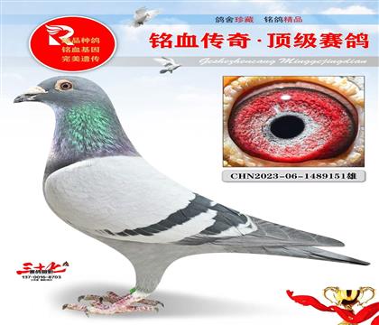 �����ֲ���