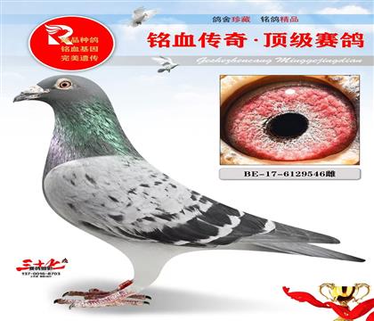 �ƽ�Դơ���ˡ��ն���ԭ��