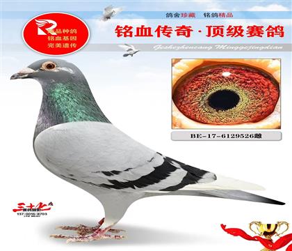 ţ��Ů��ֱ��Ů����ˡ��ն���ԭ��