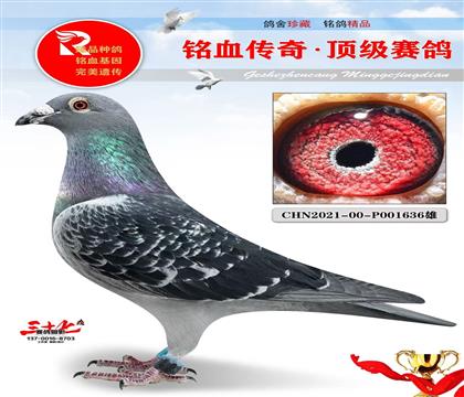 ���������Ǿ�������Ҽ������