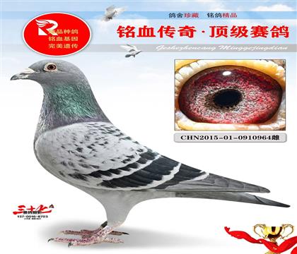 �������رȼ�����������ĸ