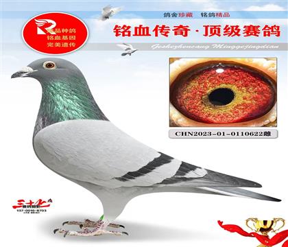 ����³ȫ���ھ�ֱŮ��Ҽ�Ÿ���