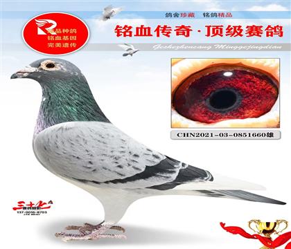 ������ҵ��������